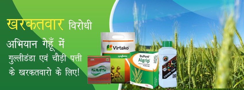Plant Care promo